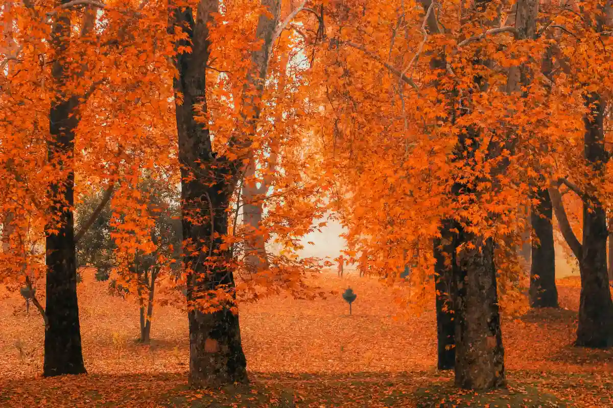 India 15 Backpacker XP - Tours & Expeditions