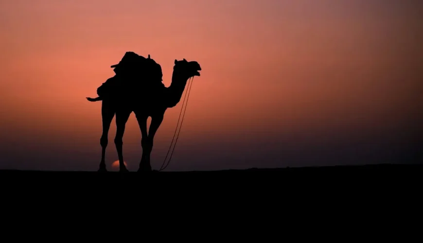 15 Best Places to Visit in Rajasthan: Discover the Royal Beauty!!