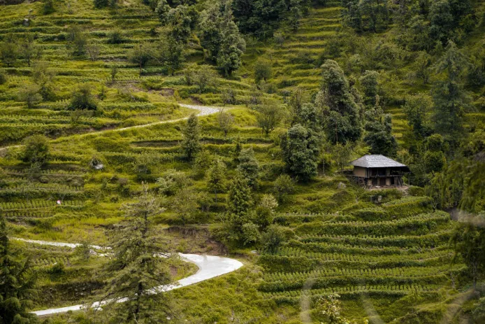 Barot Valley, Himachal Pradesh