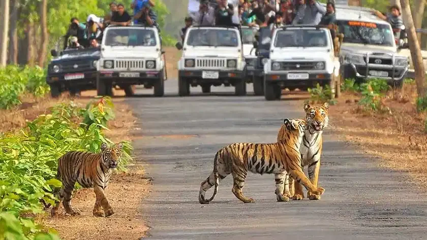 jim corbett