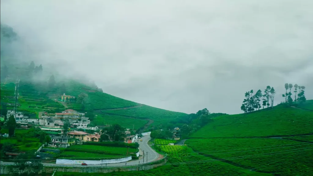 ooty tamilnadu