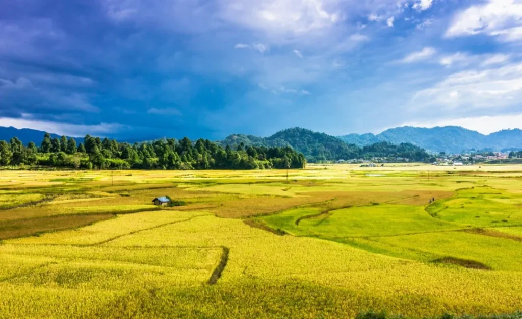 Ziro Valley