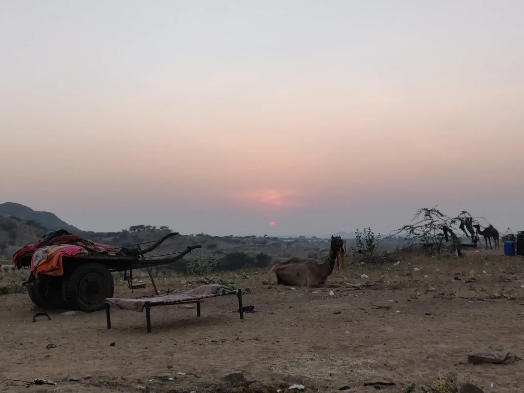 A quiet sunset at the Dunes of Pushkar