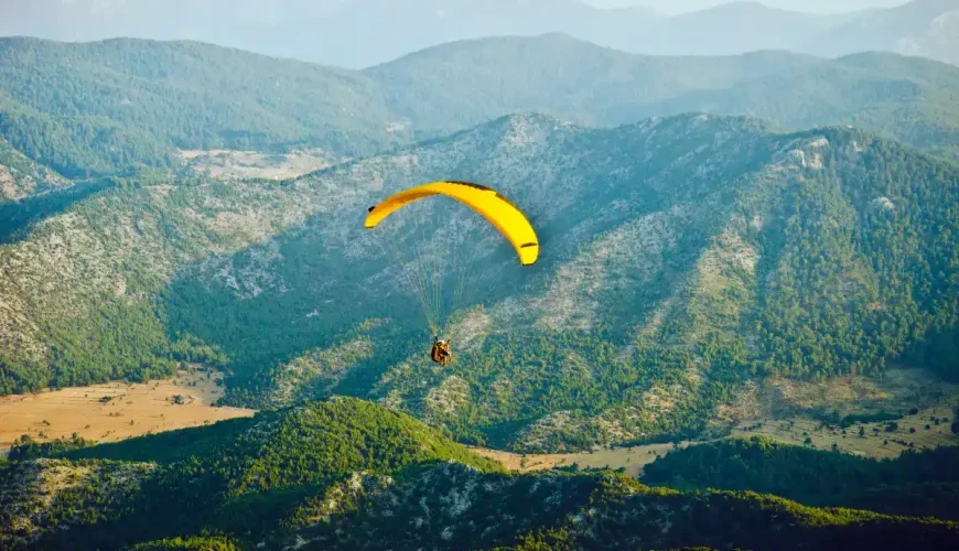 Paragliding Bir Billing