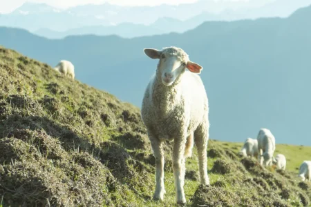 These 10 Best Places To Visit in India Will Make You a Storyteller!!