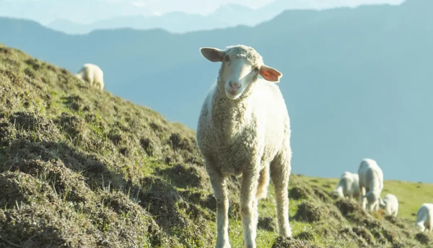 These 10 Best Places To Visit in India Will Make You a Storyteller!!