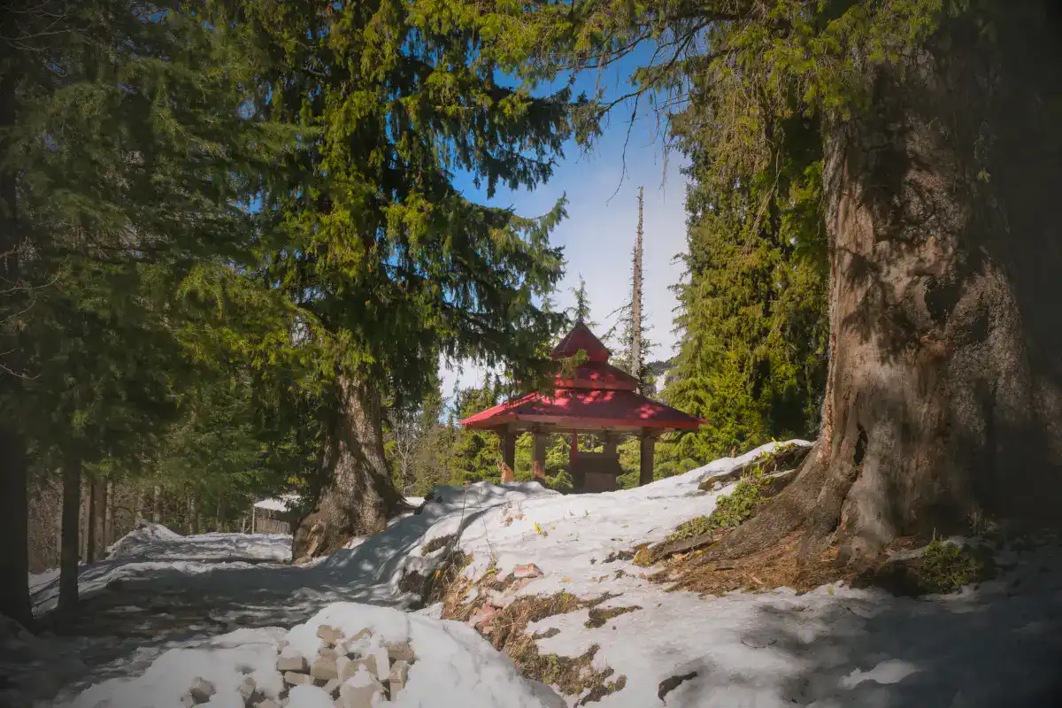 Jibhi, Himachal Pradesh 3 Backpacker XP - Tours & Expeditions