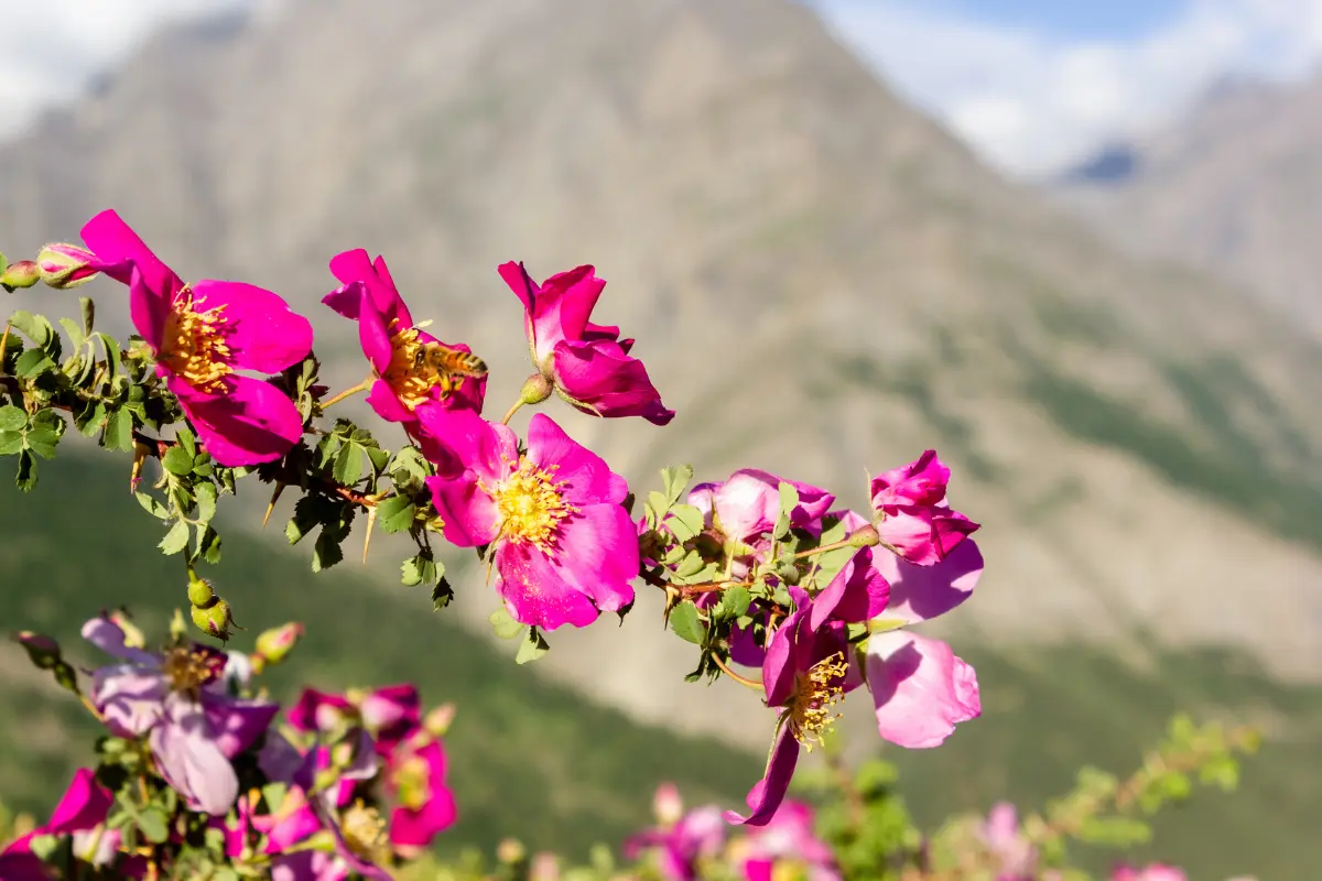 Backpacker XP - Tours & Expeditions