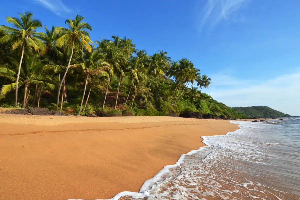 These 10 Best Places To Visit in India Will Make You a Storyteller!! 22 Goa Beach