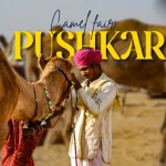Pushkar Camel Fair
