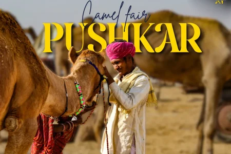 Pushkar Camel Fair