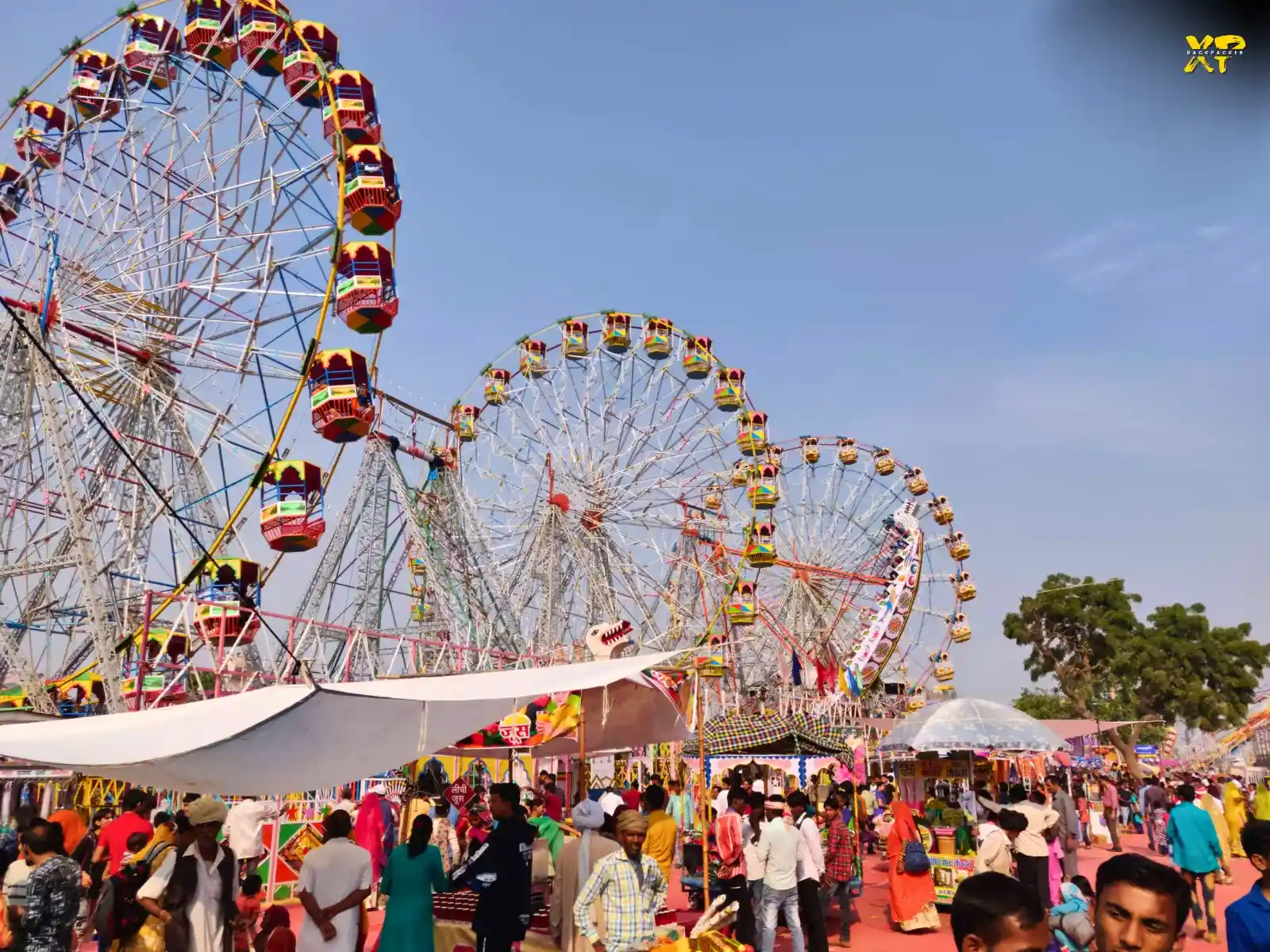 Brahma Temple Pushkar - Timings, History, Aarti, Tips 9 Pushkar Camel Fair