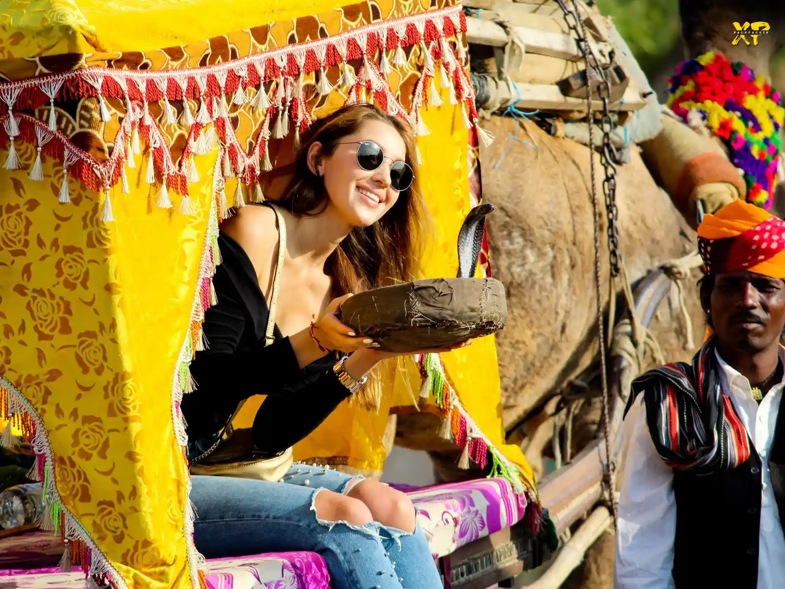 Locals and Tourists enjoying rides at Pushkar Camel Fair